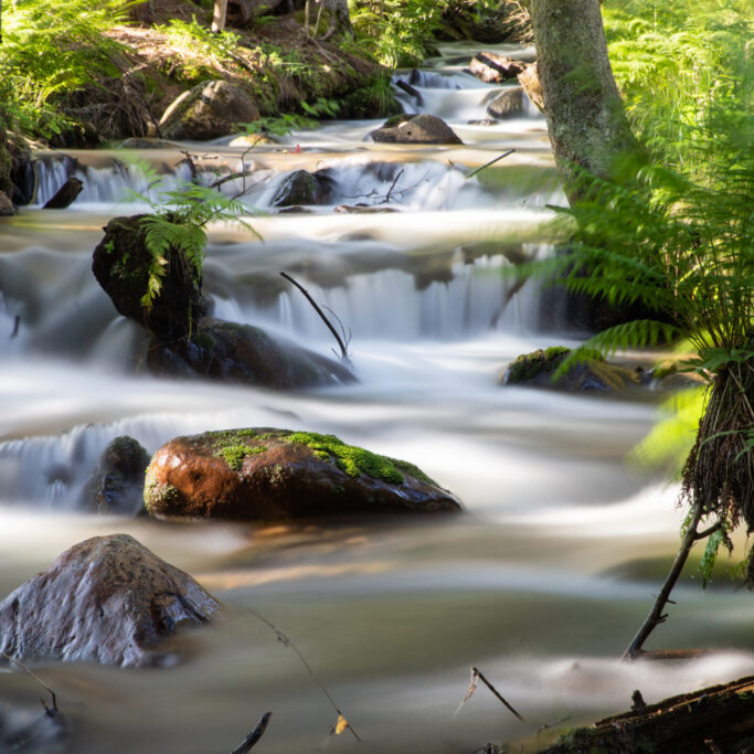 beautiful background of flowing stream is green forest nature therapy